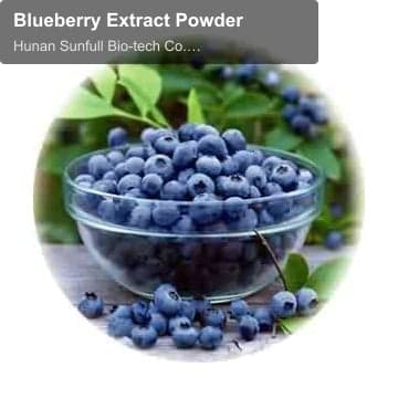 Blueberry Extract Powder