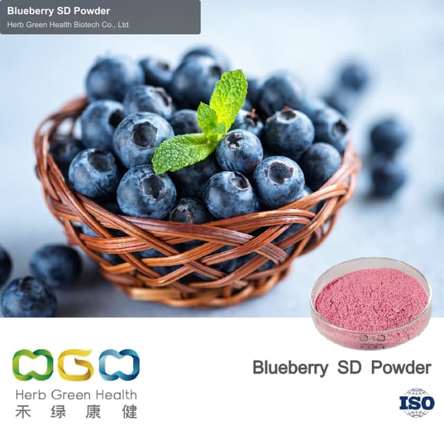 Blueberry SD Powder