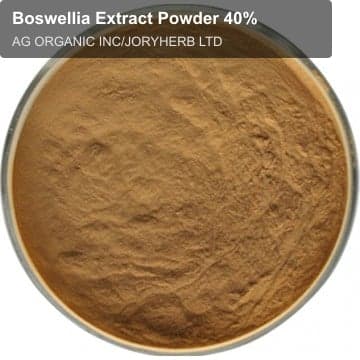 Boswellia Extract Powder 40%