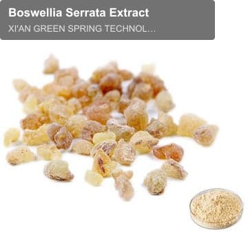 Boswellia Serrata Extract