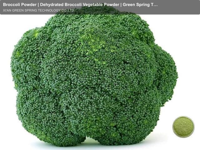 Broccoli Powder | Dehydrated Broccoli Vegetable Powder | Green Spring Technology