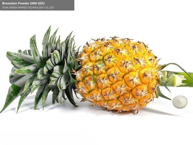 Bromelain Powder 2400 GDU