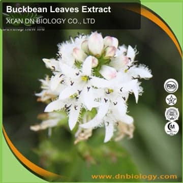 Buckbean Leaves Extract
