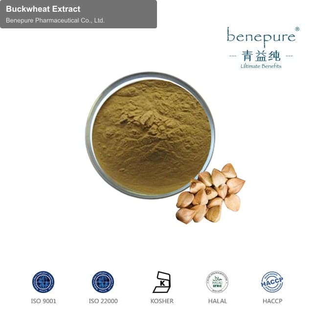Buckwheat Extract