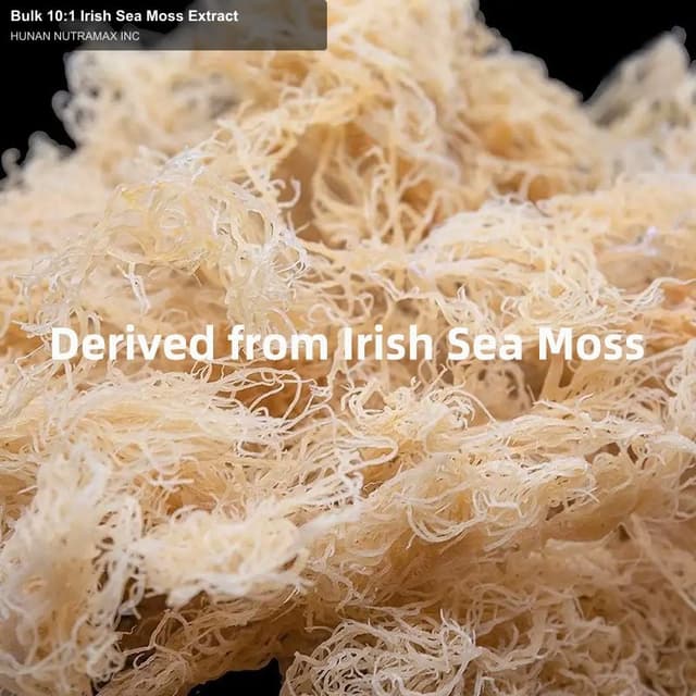 Bulk 10:1 Irish Sea Moss Extract