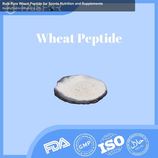 Bulk Pure Wheat Peptide for Sports Nutrition and Supplements