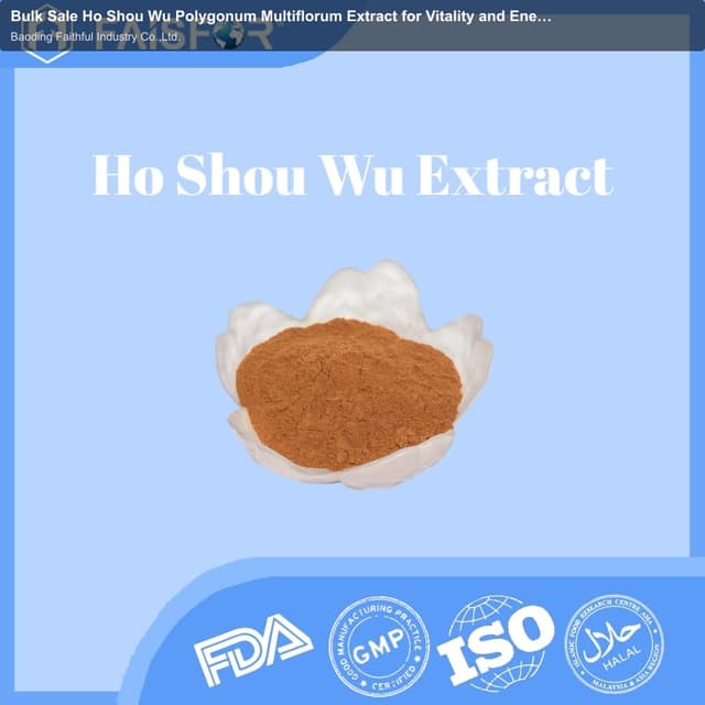 Bulk Sale Ho Shou Wu Polygonum Multiflorum Extract for Vitality and Energy