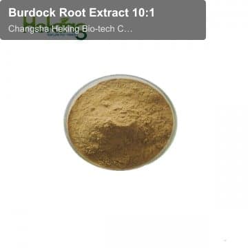 Burdock Root Extract 10:1