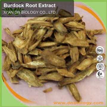 Burdock Root Extract