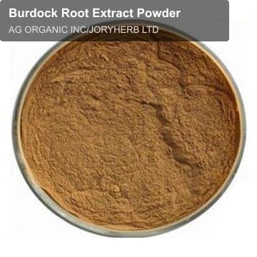 Burdock Root Extract Powder