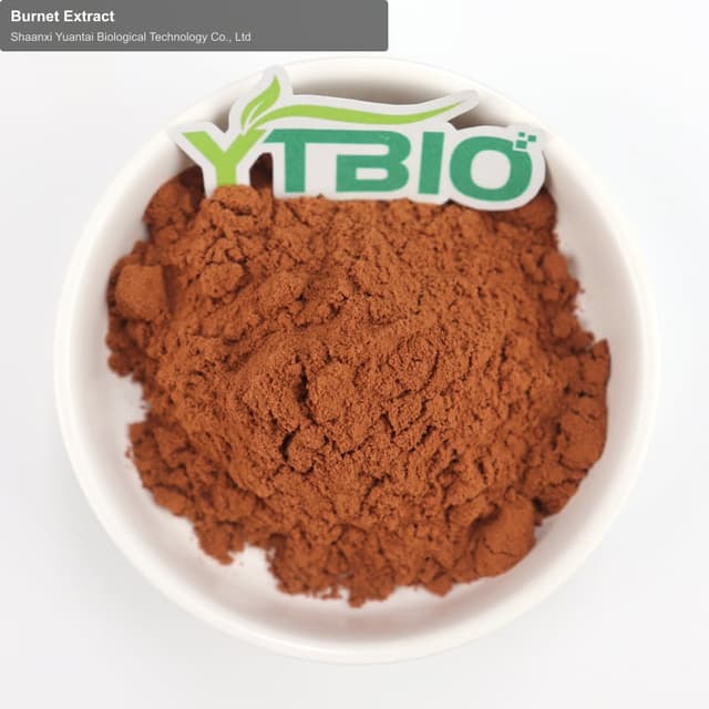 Burnet Extract