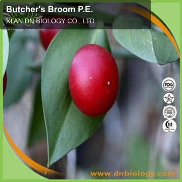Butcher's Broom P.E.