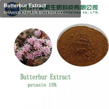 Butterbur Extract
