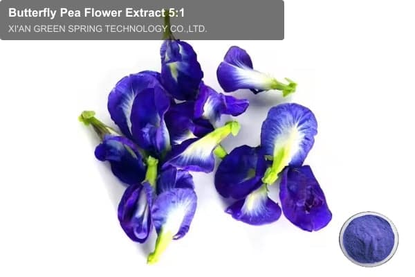 Butterfly Pea Flower Extract 5:1