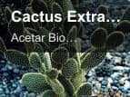 Cactus Extract