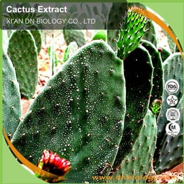 Cactus Extract