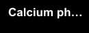 Calcium phosphoryl choline chloride