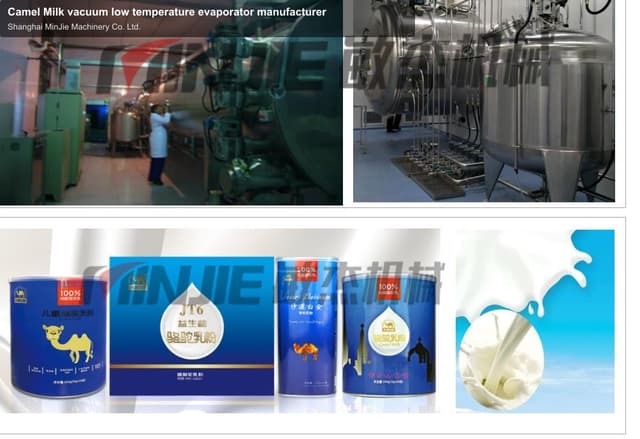 Camel Milk vacuum low temperature evaporator manufacturer