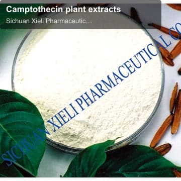 Camptothecin plant extracts