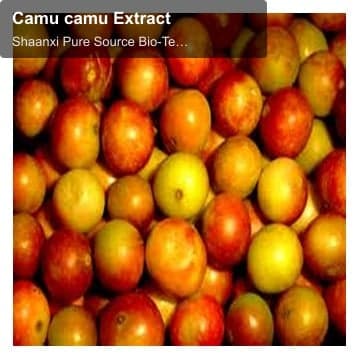 Camu camu Extract