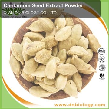 Cardamom Seed Extract Powder