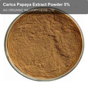 Carica Papaya Extract Powder 5%