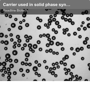 Carrier used in solid phase synthesis