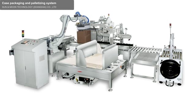Case packaging and palletizing system
