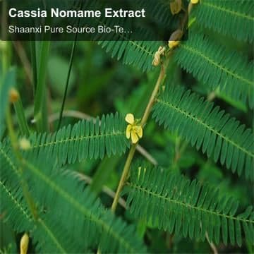 Cassia Nomame Extract