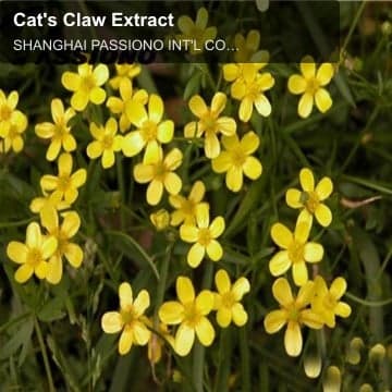 Cat's Claw Extract