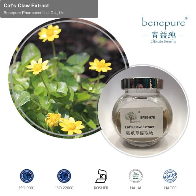 Cat's Claw Extract