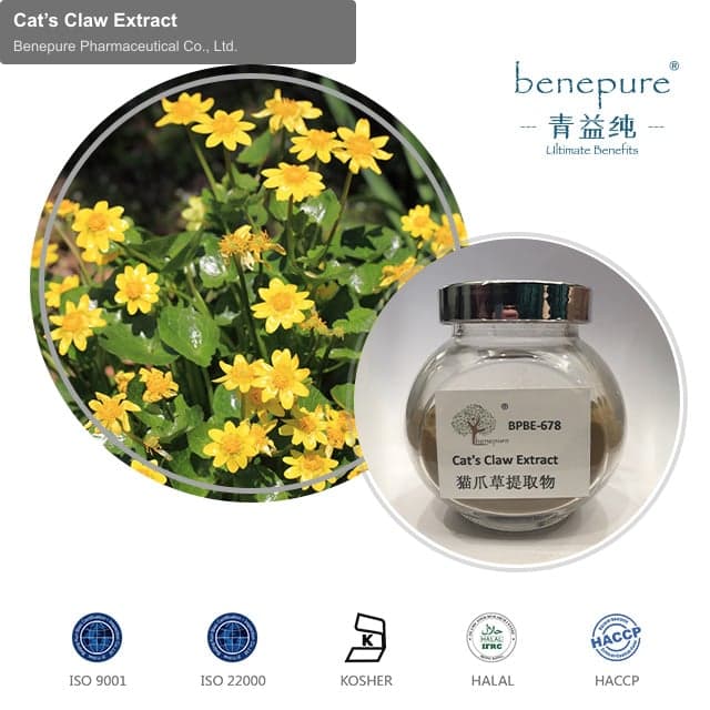 Cat’s Claw Extract