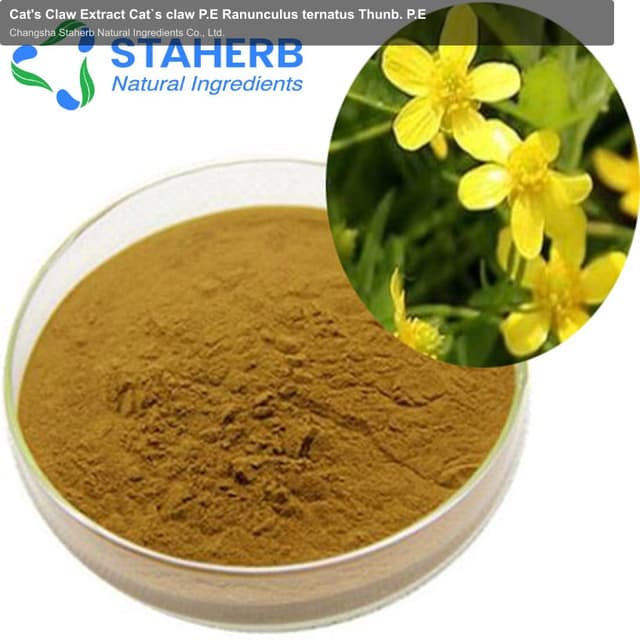 Cat's Claw Extract Cat`s claw P.E Ranunculus ternatus Thunb. P.E