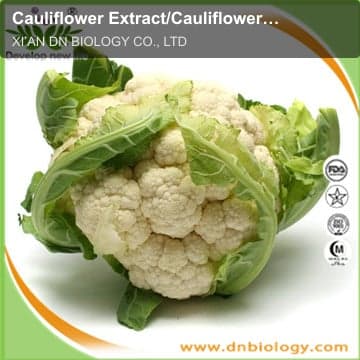 Cauliflower Extract/Cauliflower powder