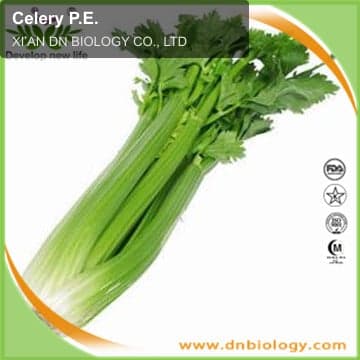 Celery P.E.
