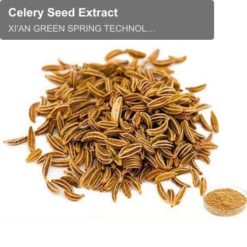 Celery Seed Extract