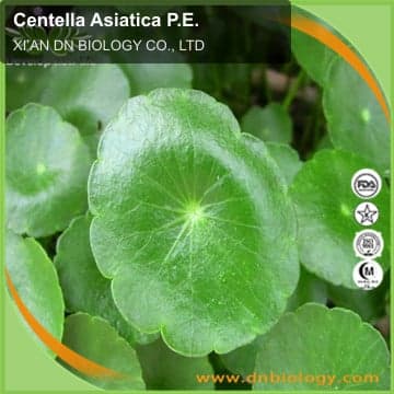 Centella Asiatica P.E.