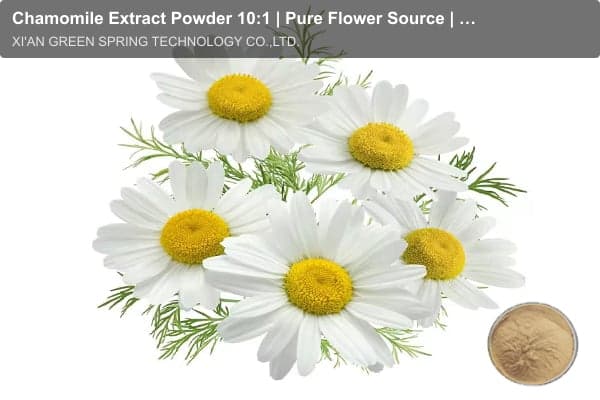 Chamomile Extract Powder 10:1 | Pure Flower Source | Green Spring Technology