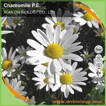 Chamomile P.E.