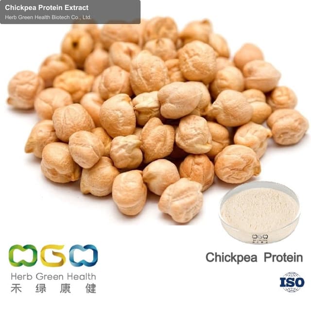 Chickpea Protein Extract
