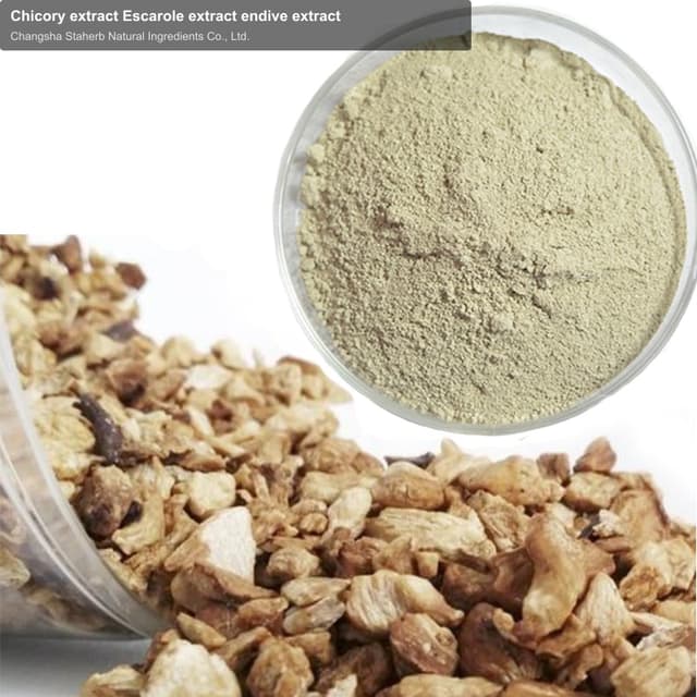 Chicory extract Escarole extract endive extract