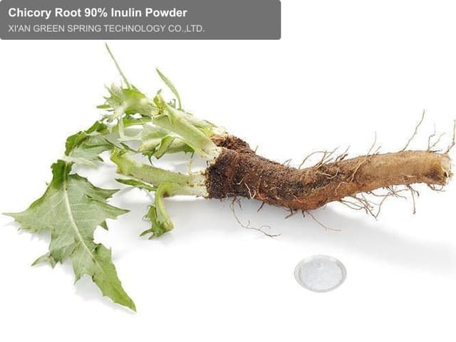 Chicory Root 90% Inulin Powder