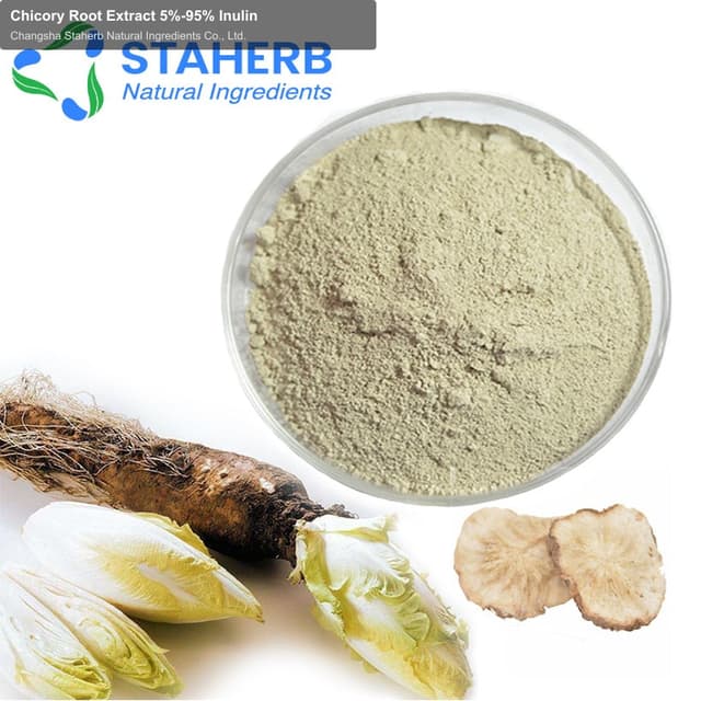 Chicory Root Extract 5%-95% Inulin