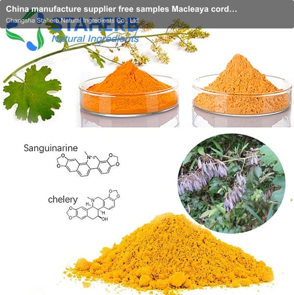 China manufacture supplier free samples Macleaya cordata extract Sanguinarine