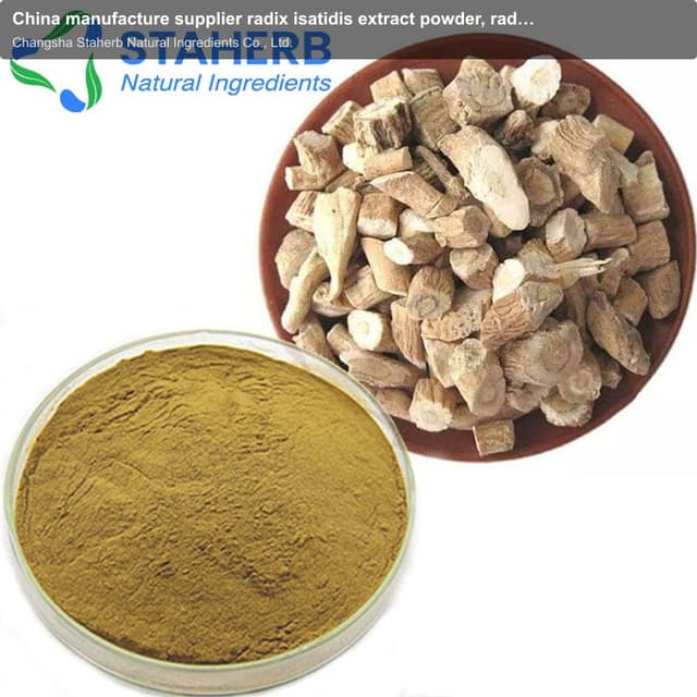 China manufacture supplier radix isatidis extract powder, radix isatidis extract