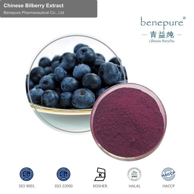 Chinese Bilberry Extract