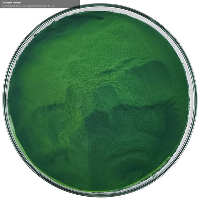 Chlorella Powder