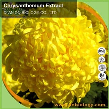 Chrysanthemum Extract