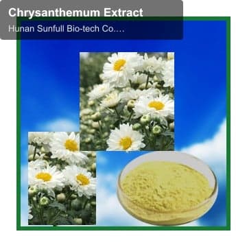 Chrysanthemum Extract