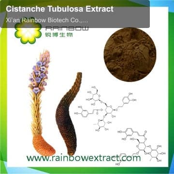 Cistanche Tubulosa Extract